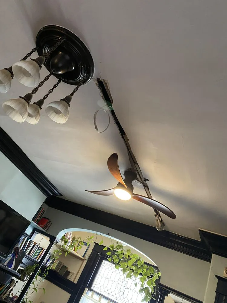 Slide of Steve-O-Lectric