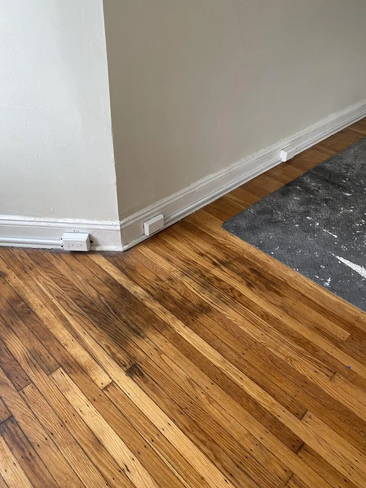 Slide of Steve-O-Lectric