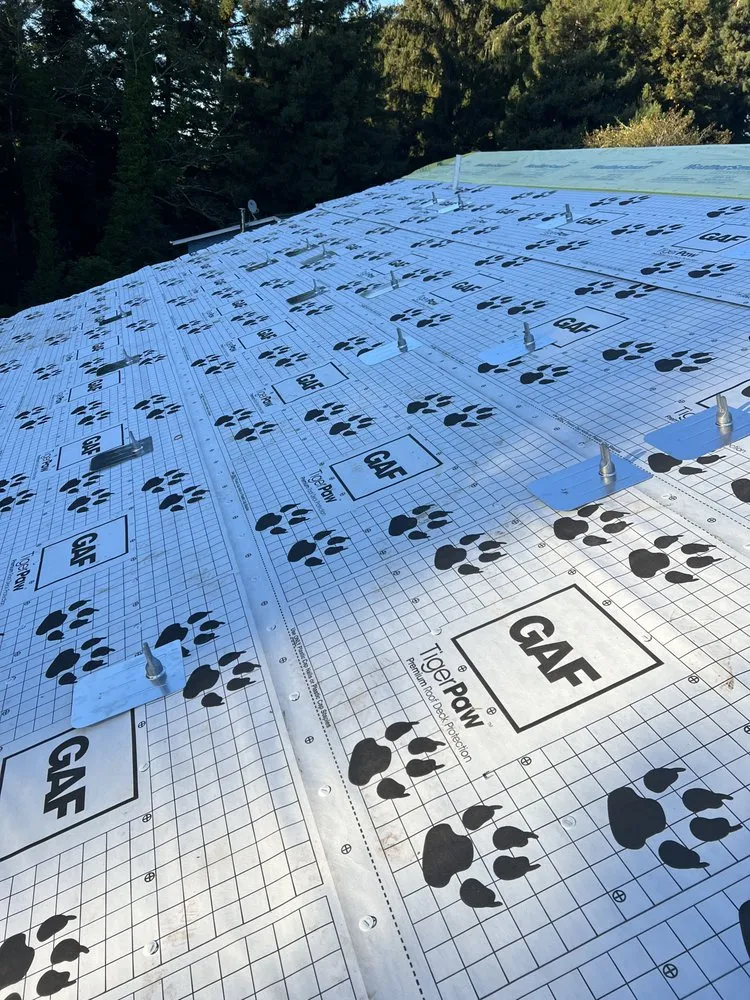 Slide of Stodder electric