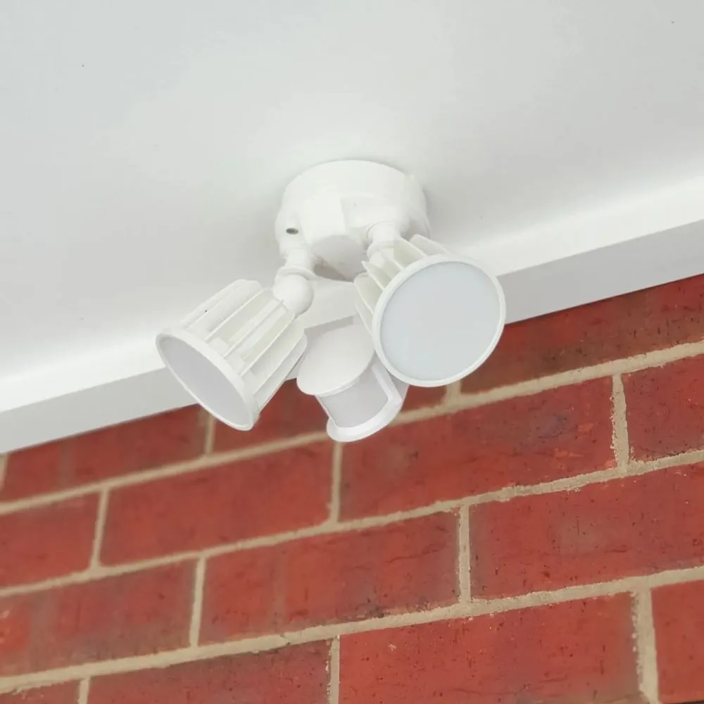 Slide of Stony Brook Electric