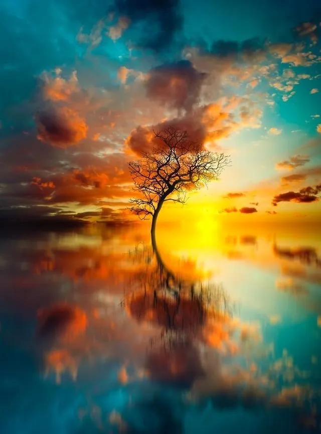 Slide of Stunning Coastal Cleaning and Maintenance