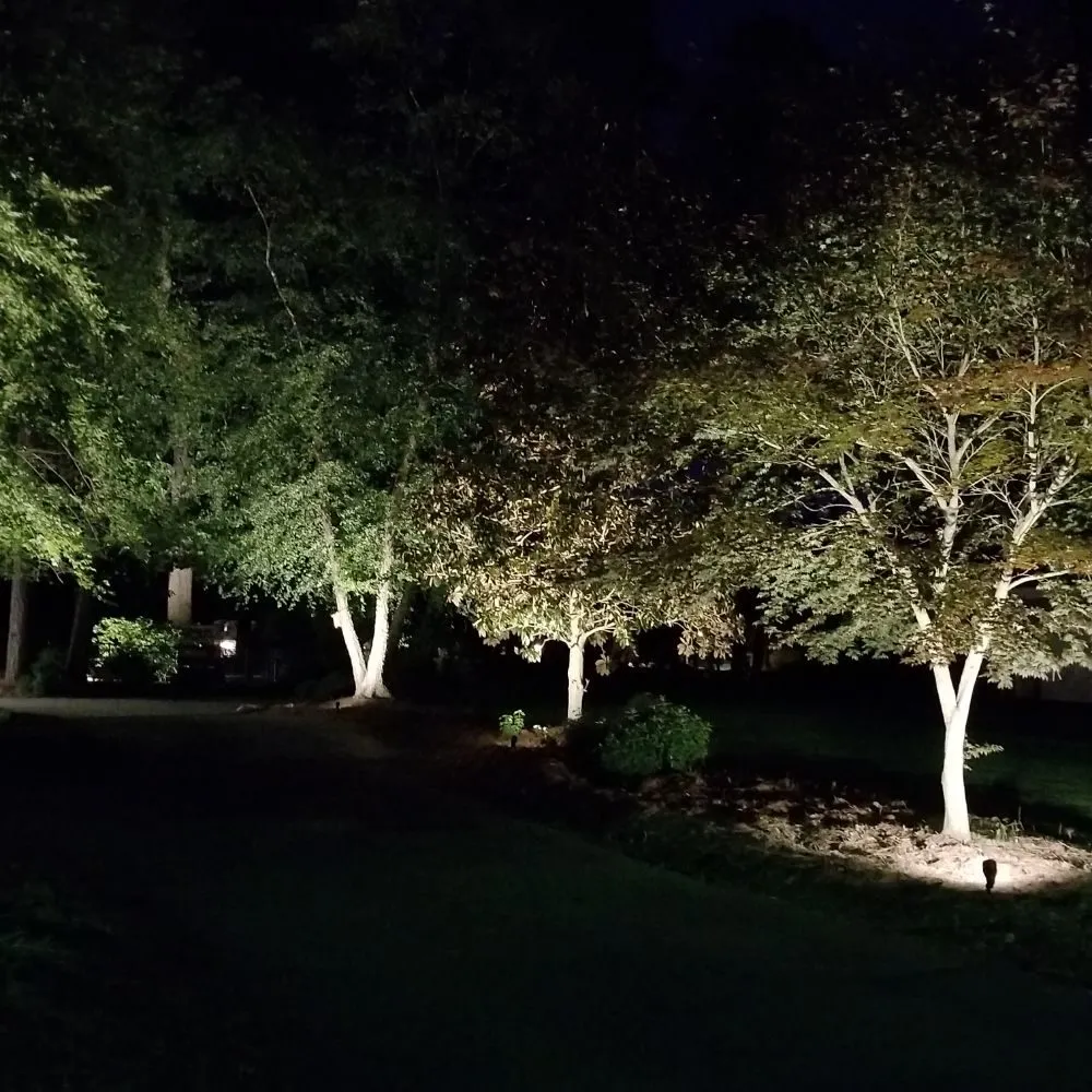 Slide of Suddith Services