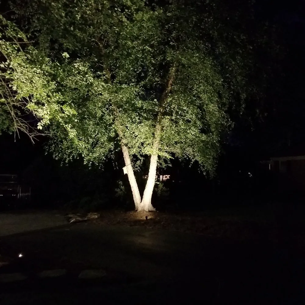 Slide of Suddith Services