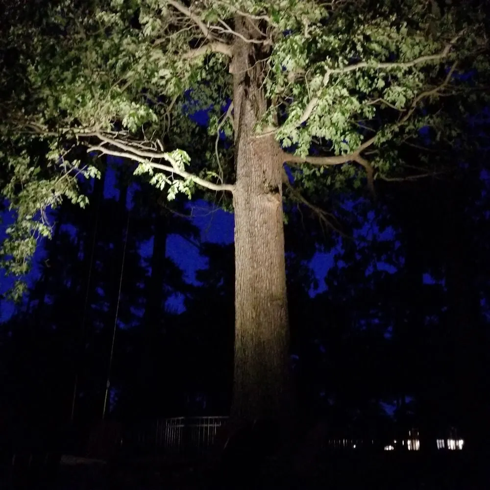 Slide of Suddith Services