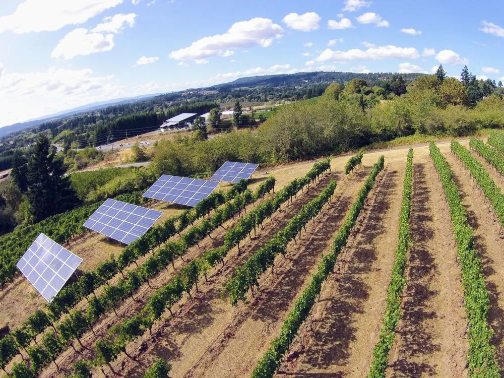 Slide of Sunbridge Solar