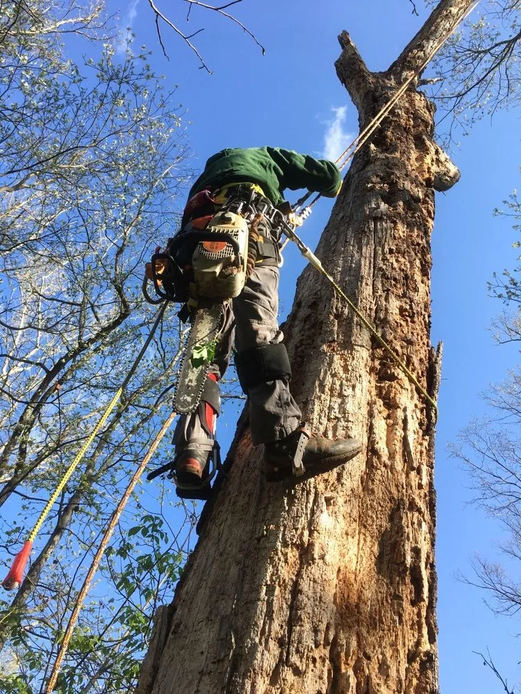 Slide of Sunny Days Construction & Maintenance