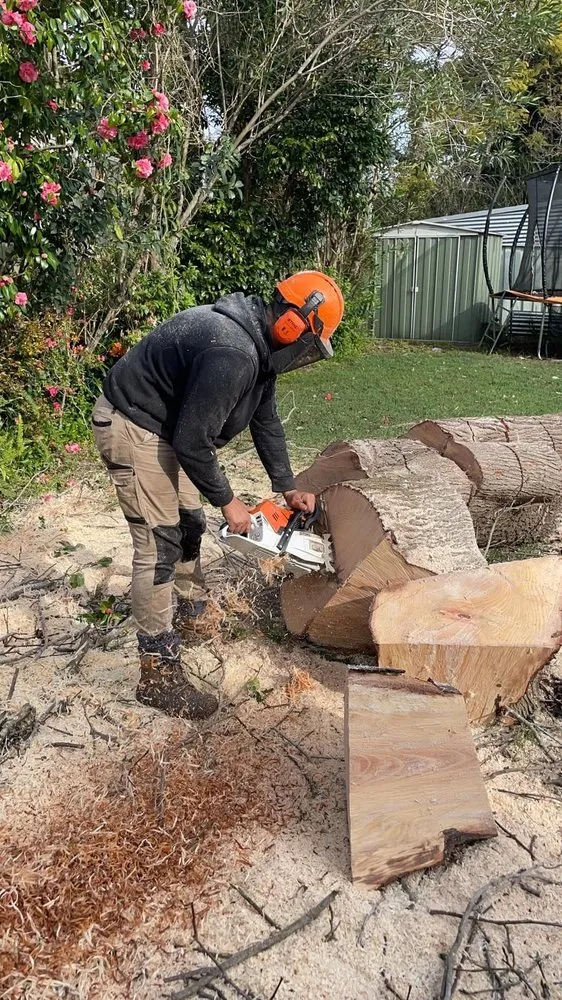 Slide of Sunny Days Construction & Maintenance