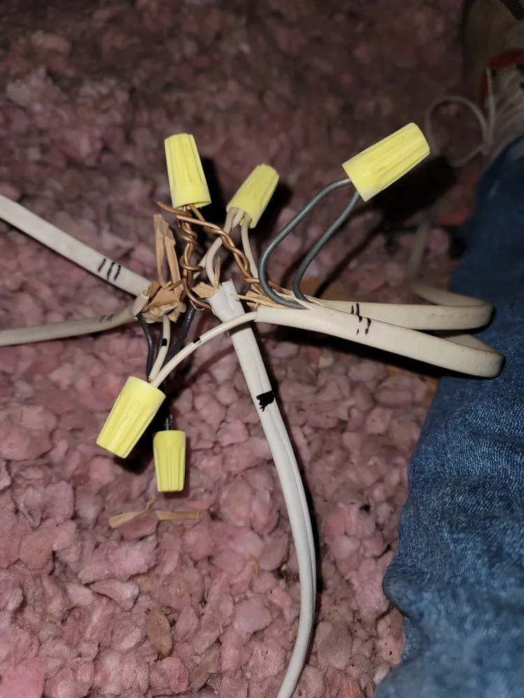 Slide of Sunny Dew Electric