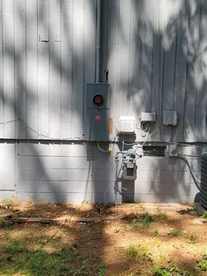 Sunny Dew Electric Logo