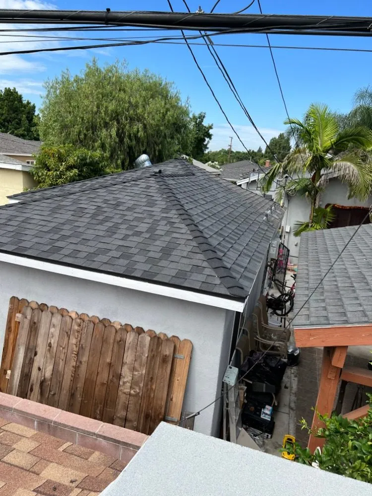 Slide of Sunny's Construction