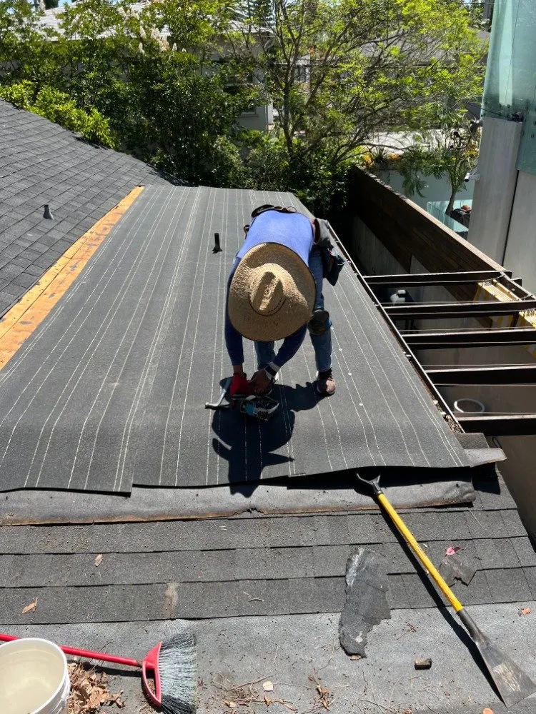 Slide of Sunny's Construction