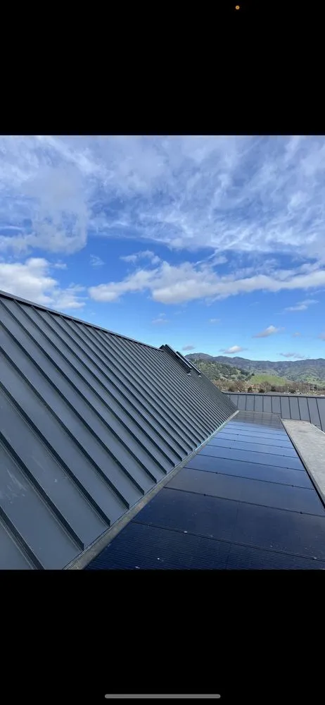 Slide of Sunshine Bros