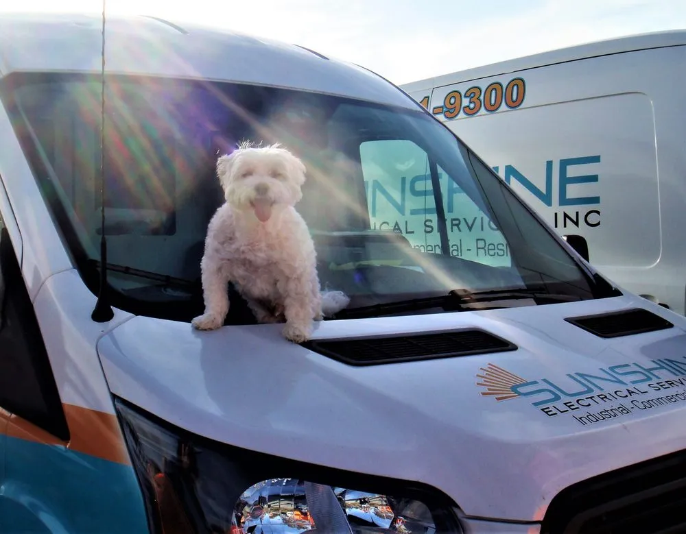 Slide of Sunshine Electrical Services