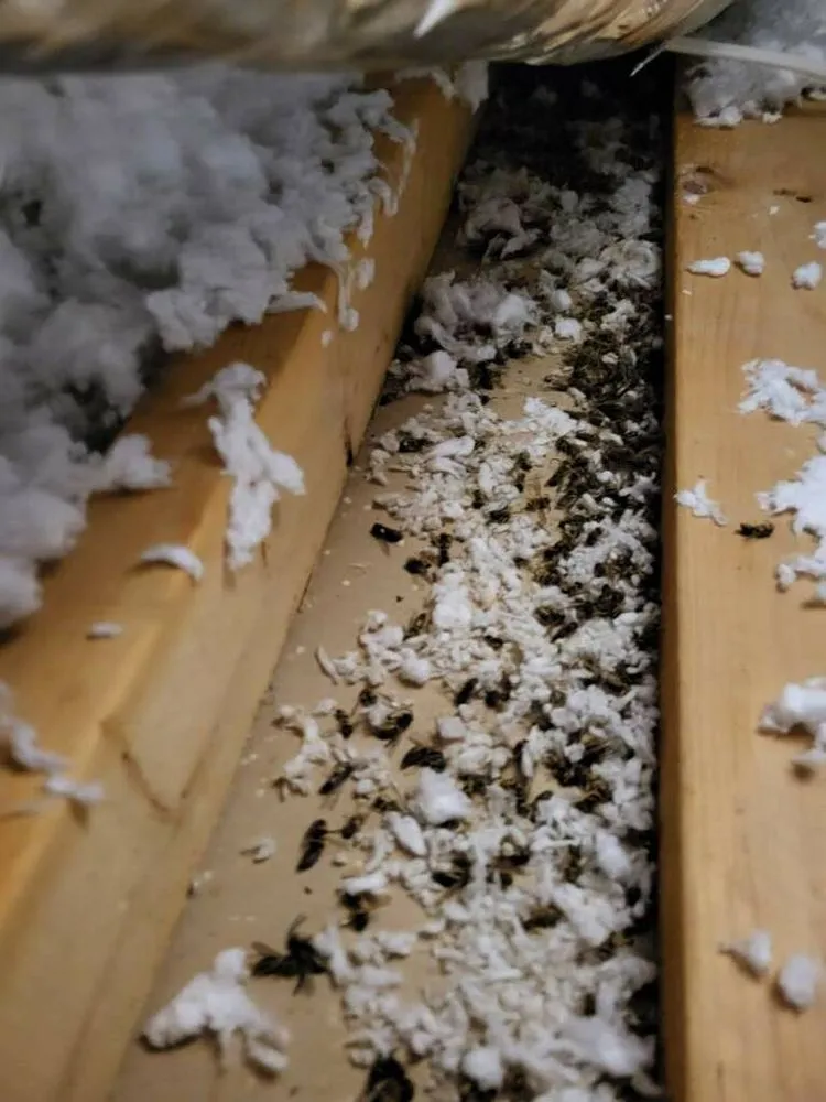 Slide of Sunshine Trade Services