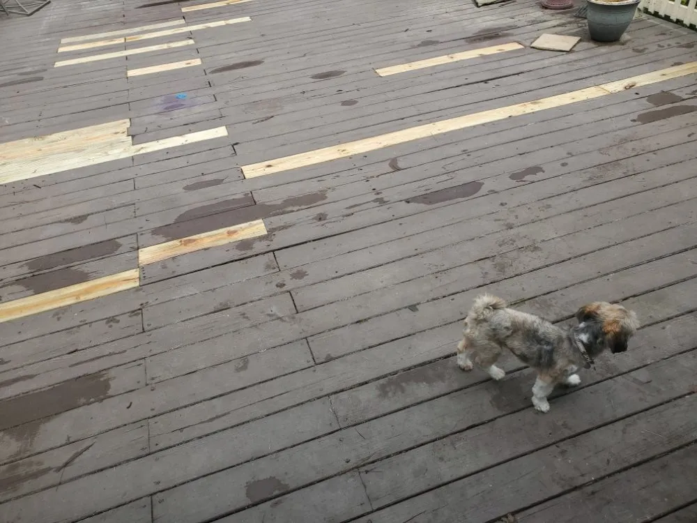 Slide of Supreme Services