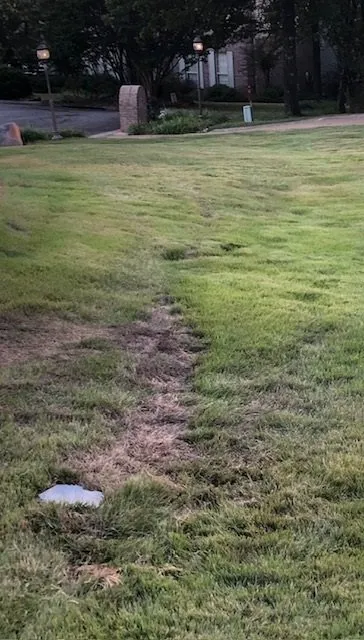 Slide of Surge Electric