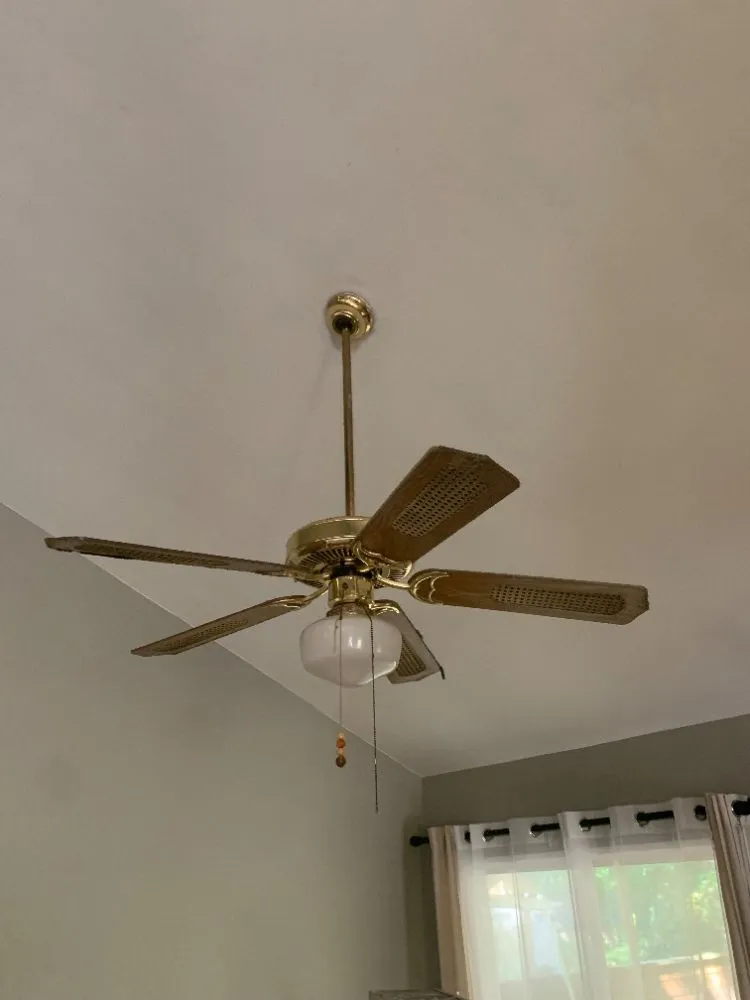 Slide of Surgical Hands