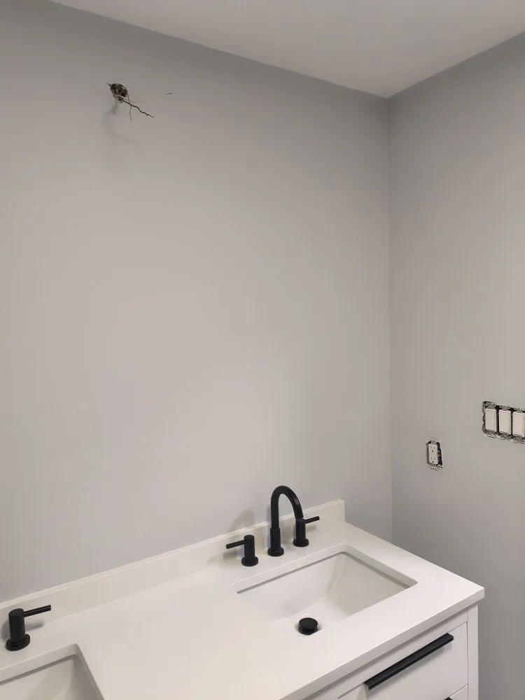 Slide of Surgical Hands