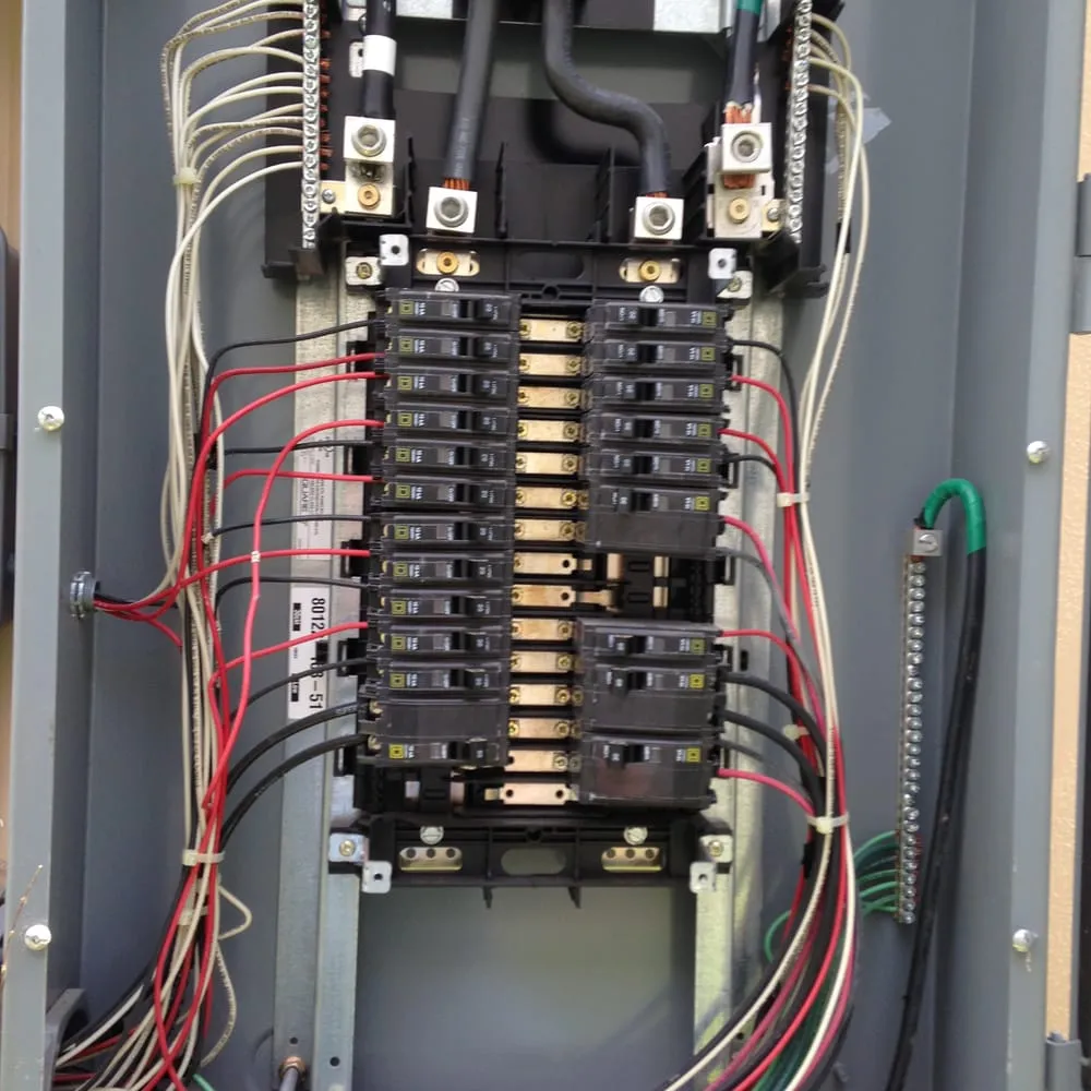 Slide of Susuras Electric