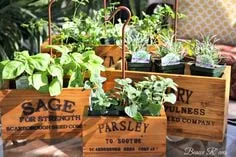 Expert electrical service for homes in outlet and switch repair,  by 