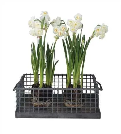 Licensed emergency electrical service in ,  by Swain's Electric