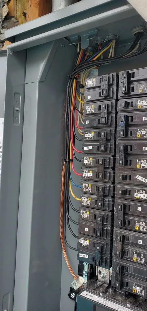 Slide of Swan Electric