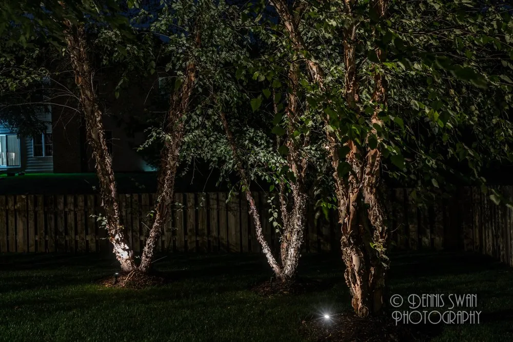 Slide of Swan Electrical Systems