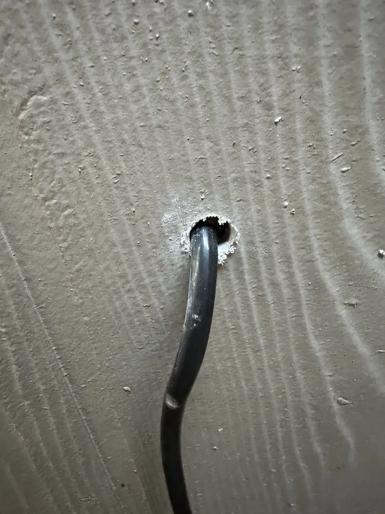 Slide of Swartz Green Electric