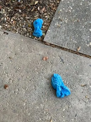 Switch Electric Logo