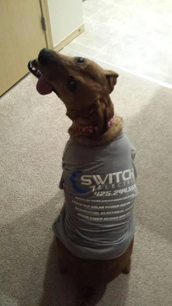 Slide of Switch Electric Home Energy