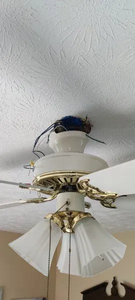 Slide of Switch Electrical & Maintenance