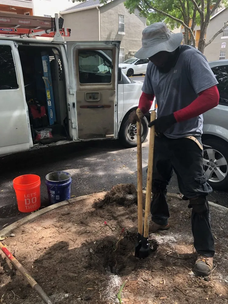 Reliable electrical repair in ,  by Switch Phase Electrical