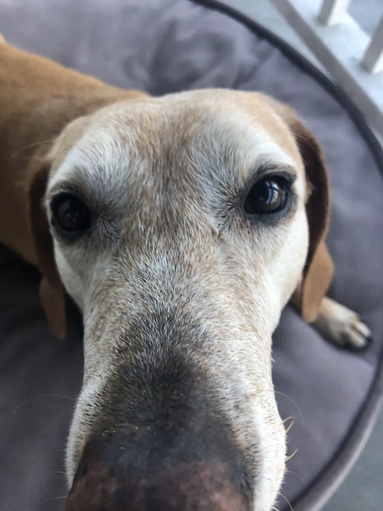 Slide of Switch Your Fixture