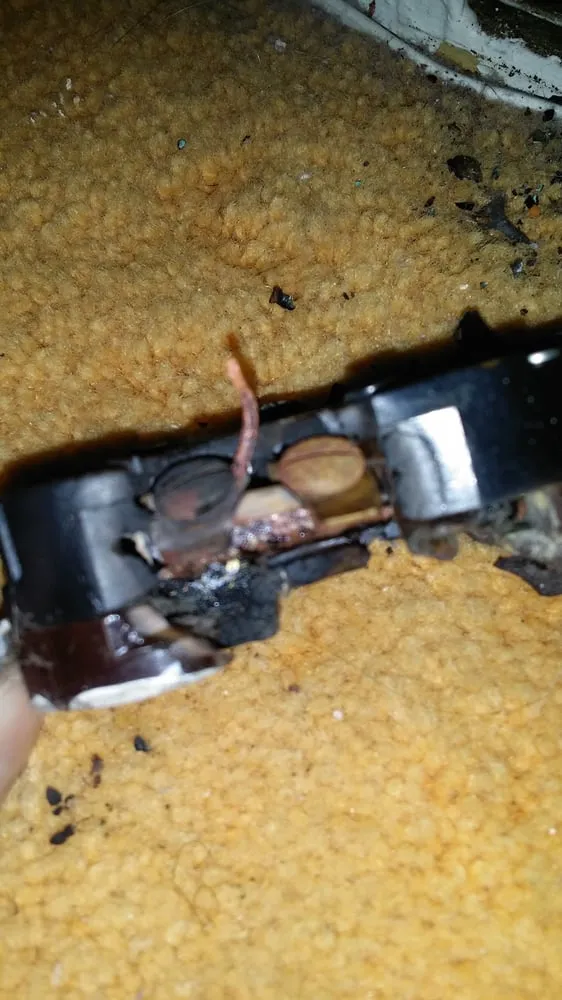 Emergency panel upgrade in , by Switched Electric