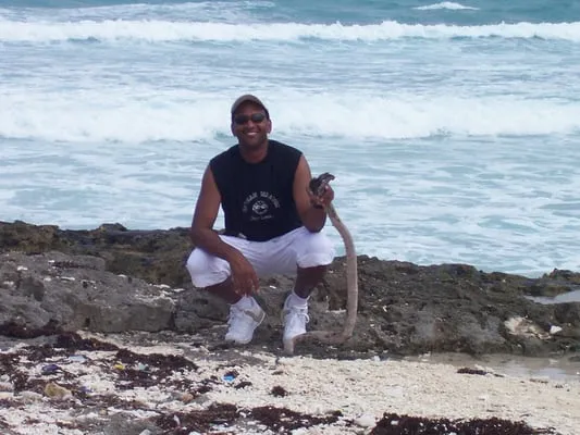 T Bracy Electrical Services