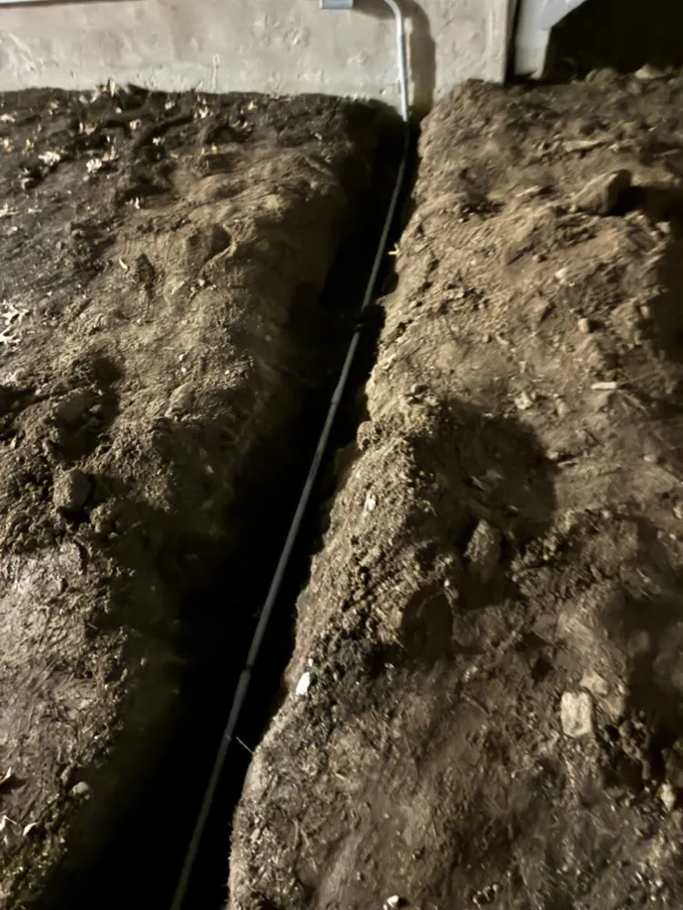 Slide of T Daughters Electric