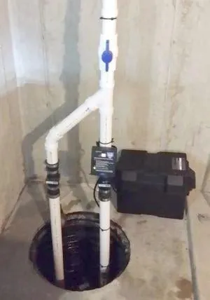 Emergency electrical service for homes in panel upgrade,  by 