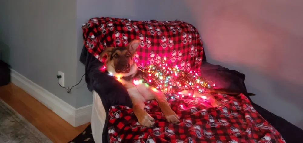 Slide of T&A Electrical Innovations