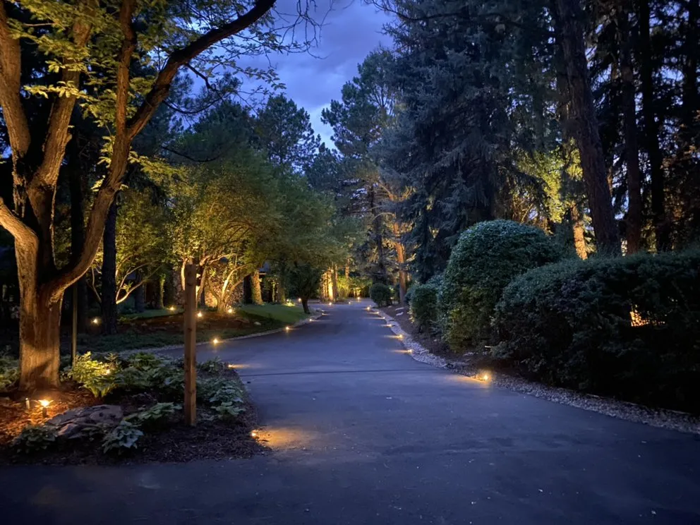 Slide of Tactic Electric