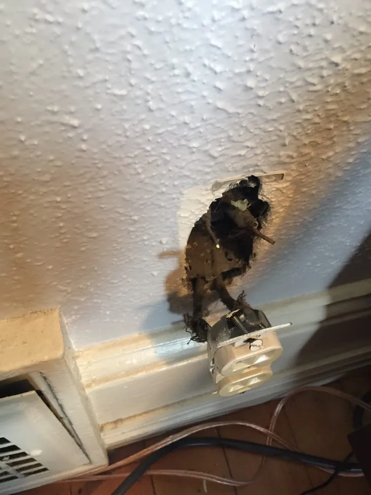 Slide of Tactical Electrical Services