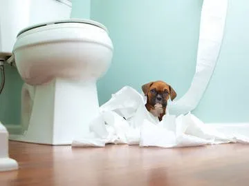 Slide of Tailored Smart Home