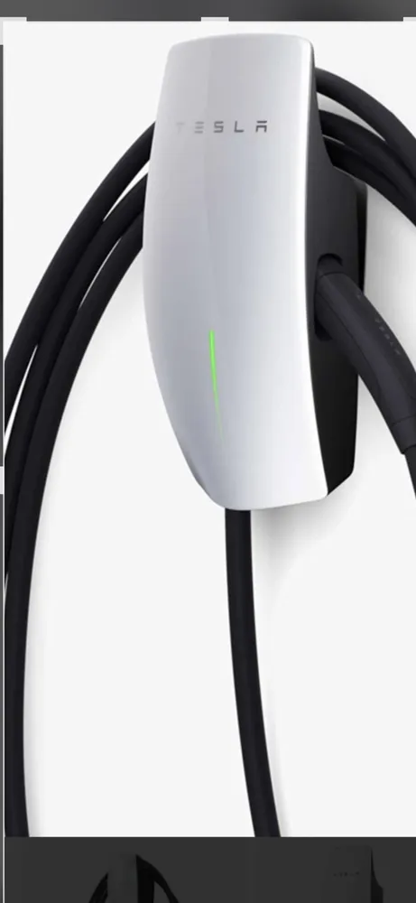 Slide of Tamar Electric