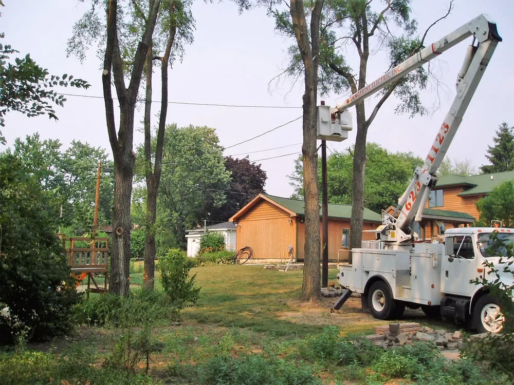 Slide of Tangerine Electric