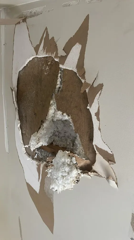 Slide of Tank’s Home Improvement