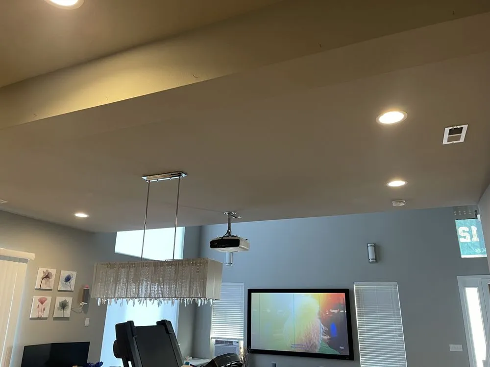 Slide of Tan’s Electric