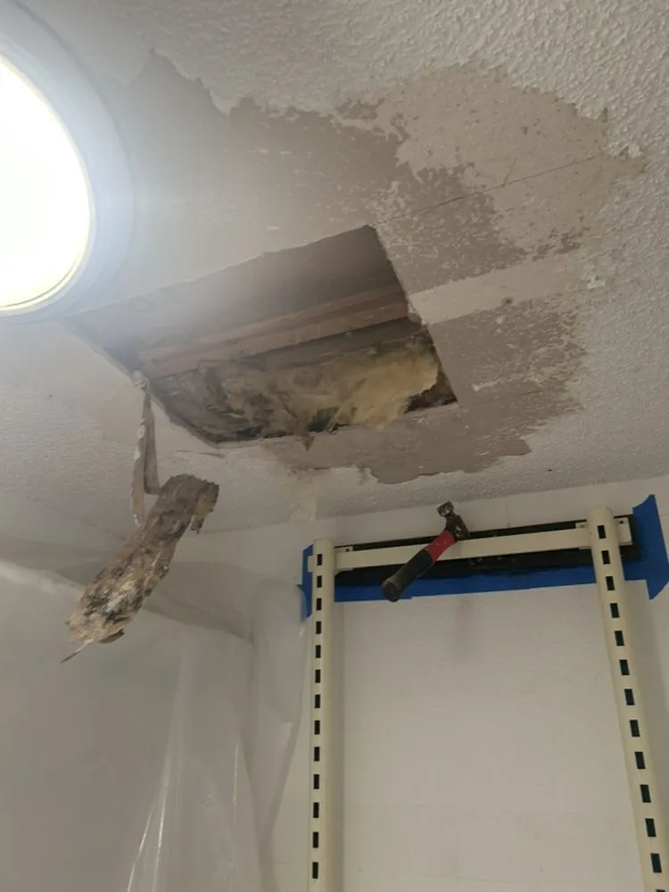 Professional electrician providing panel upgrade in , 