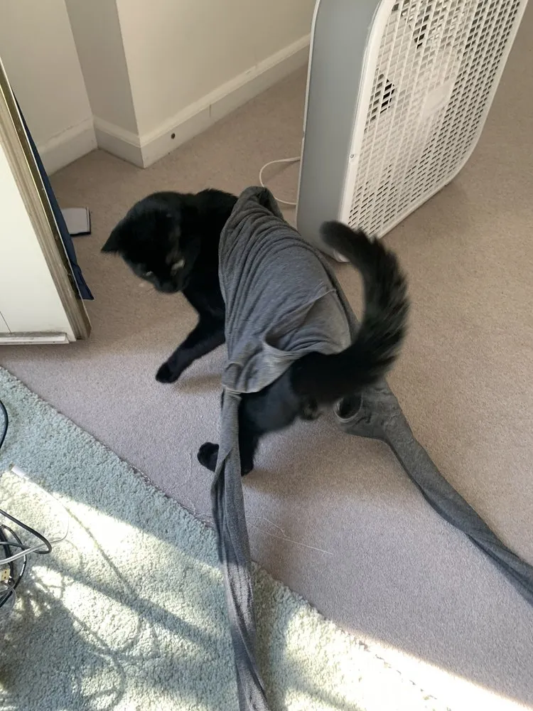 Slide of Tarala Electric