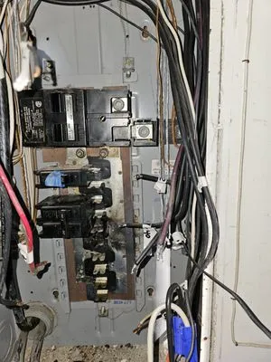 Tarheel Specialty Electric 2.0 Logo