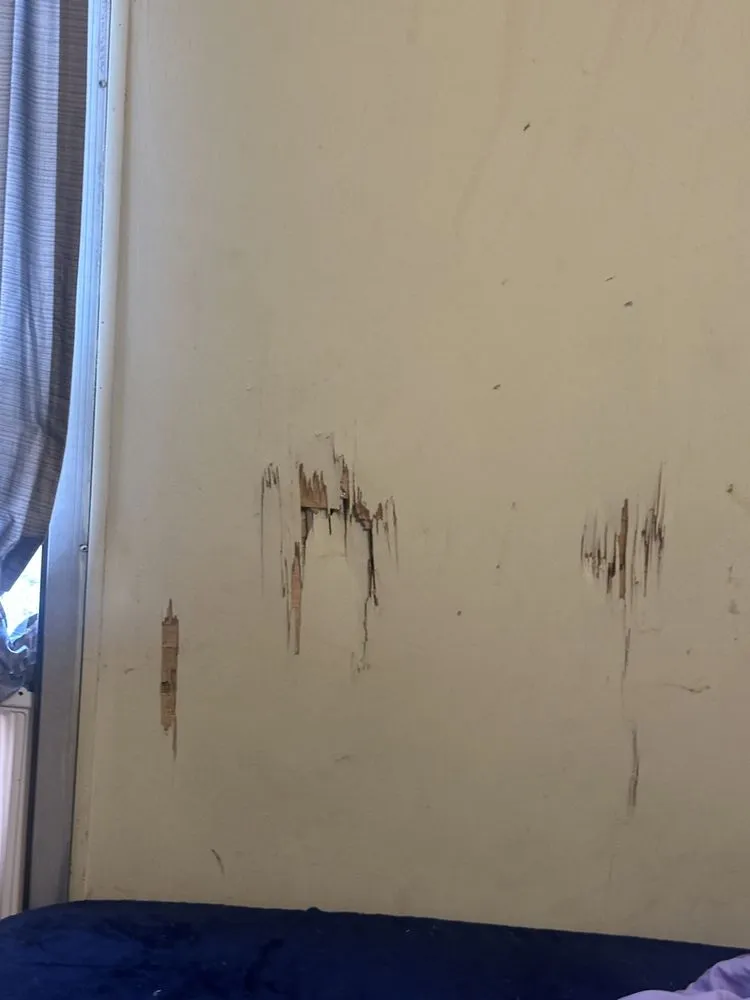 Affordable lighting installation in ,  by Taurus Electrical and Services