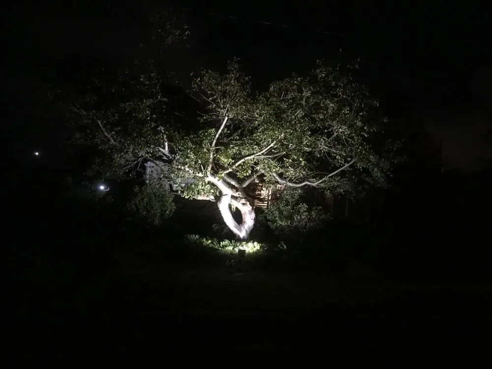 Slide of Taylor Electric